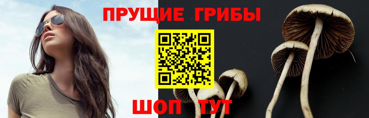 Галлюциногенные грибы ЛСД  Вход с VPN  Петрозаводск 
